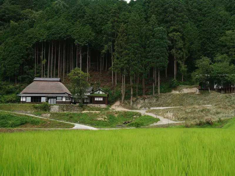 禪意民宿實(shí)景圖3